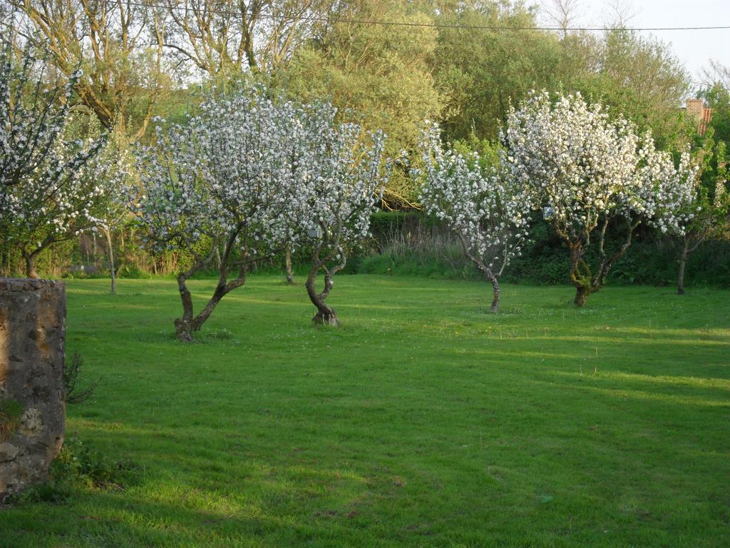 Domaine De La Ronville Wimereux Exterior photo